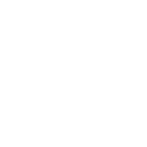 Controller Icon (24x24)