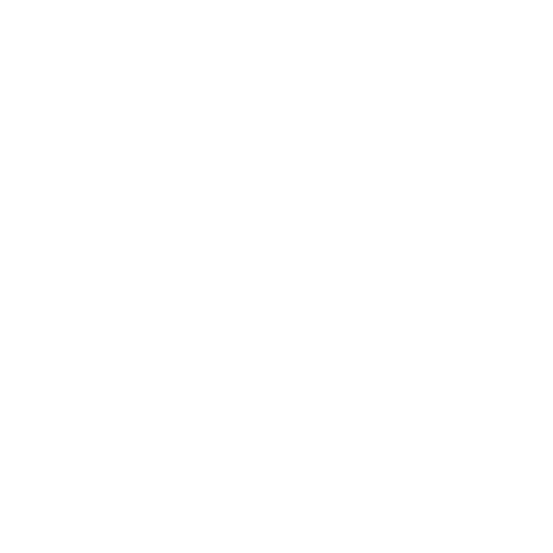 4K (White) Icon (24x24)